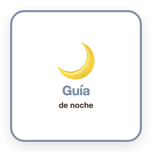regalo guia de noche